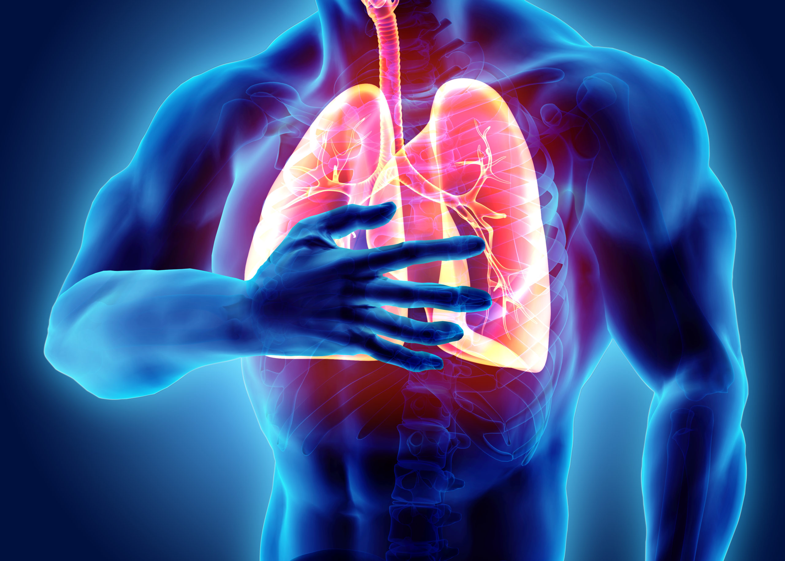 Respiratory System And Ph Ph Focusedph Focused